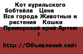 Кот курильского бобтейла › Цена ­ 5 000 - Все города Животные и растения » Кошки   . Приморский край,Артем г.